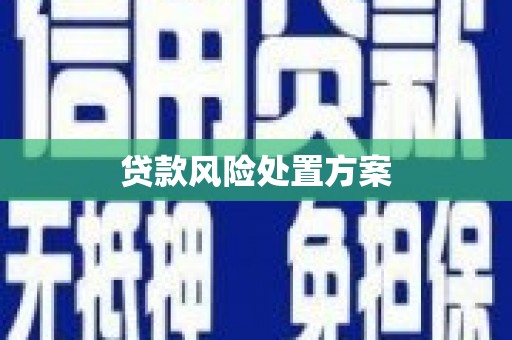 宜兰贷款风险处置方案