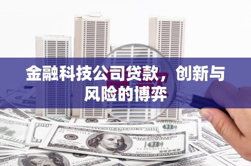 宜兰金融科技公司贷款，创新与风险的博弈