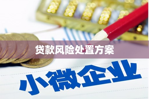 宜兰贷款风险处置方案