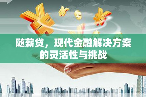 宜兰随薪贷，现代金融解决方案的灵活性与挑战