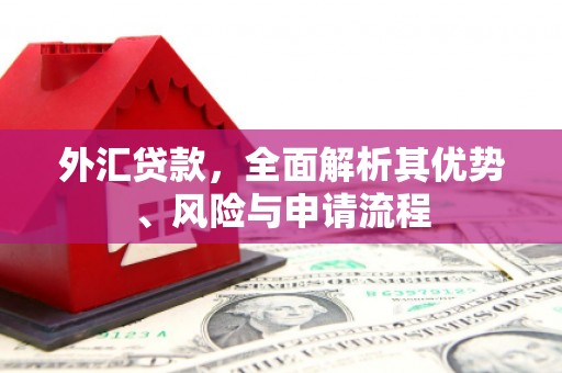 宜兰外汇贷款，全面解析其优势、风险与申请流程