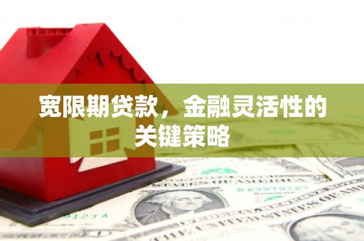 宜兰宽限期贷款，金融灵活性的关键策略