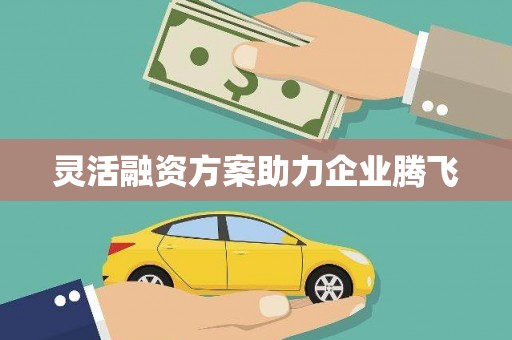 宜兰灵活融资方案助力企业腾飞