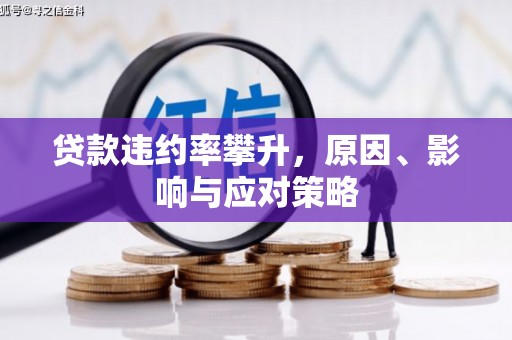 宜兰贷款违约率攀升，原因、影响与应对策略