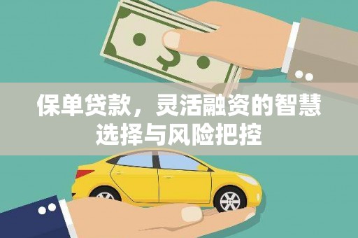 宜兰保单贷款，灵活融资的智慧选择与风险把控
