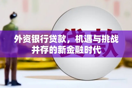 宜兰外资银行贷款，机遇与挑战并存的新金融时代