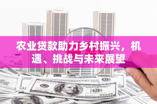 宜兰农业贷款助力乡村振兴，机遇、挑战与未来展望