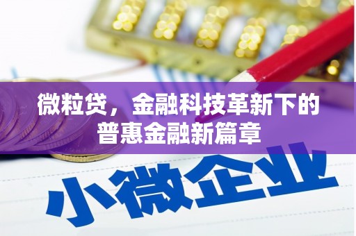 宜兰微粒贷，金融科技革新下的普惠金融新篇章