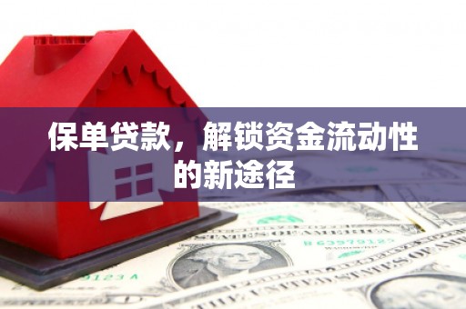 宜兰保单贷款，解锁资金流动性的新途径