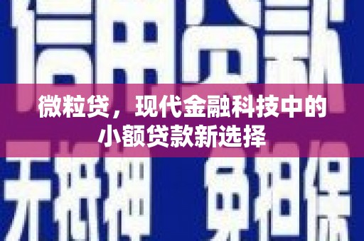 宜兰微粒贷，现代金融科技中的小额贷款新选择