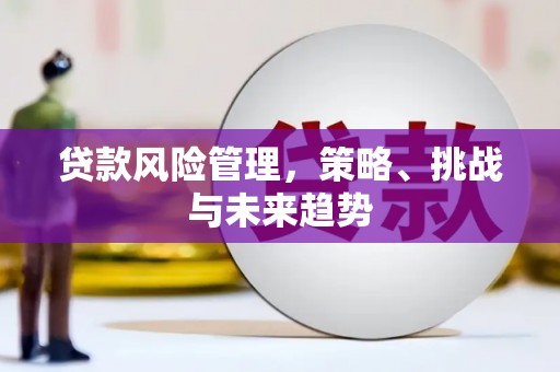 宜兰贷款风险管理，策略、挑战与未来趋势