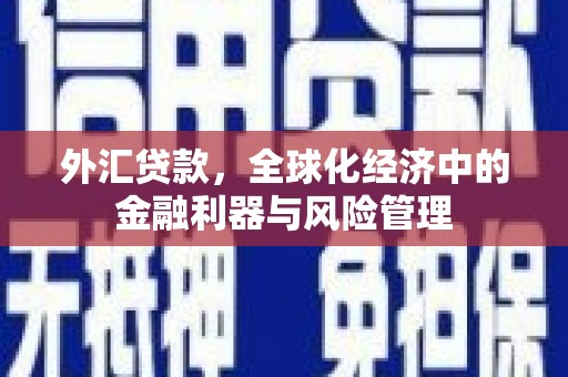 宜兰外汇贷款，全球化经济中的金融利器与风险管理