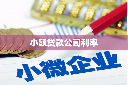 宜兰小额贷款公司利率