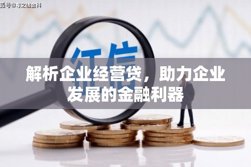 宜兰解析企业经营贷，助力企业发展的金融利器