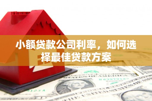 宜兰小额贷款公司利率，如何选择最佳贷款方案