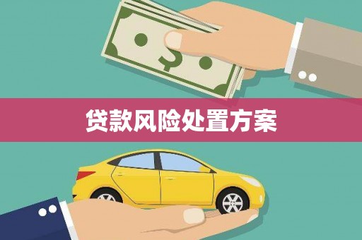 宜兰贷款风险处置方案
