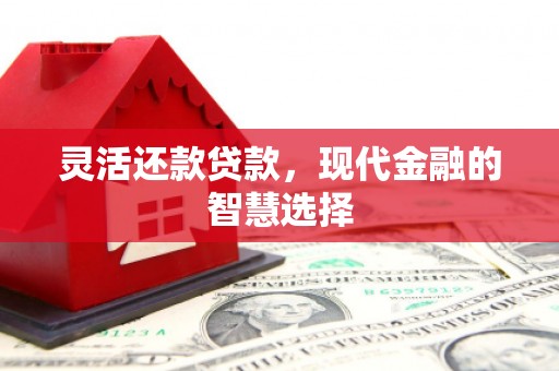 宜兰灵活还款贷款，现代金融的智慧选择