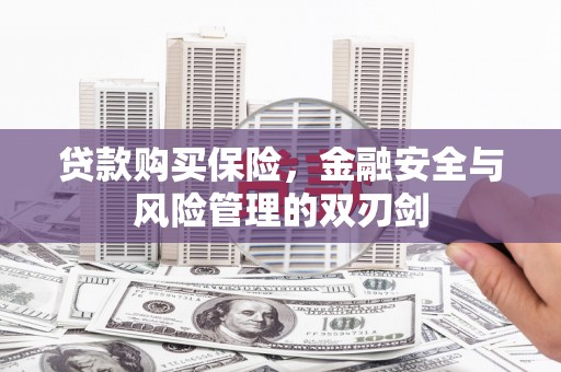 宜兰贷款购买保险，金融安全与风险管理的双刃剑
