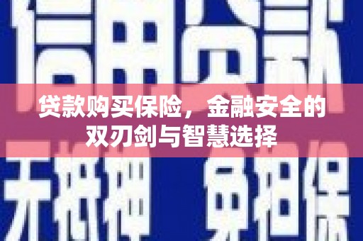 宜兰贷款购买保险，金融安全的双刃剑与智慧选择