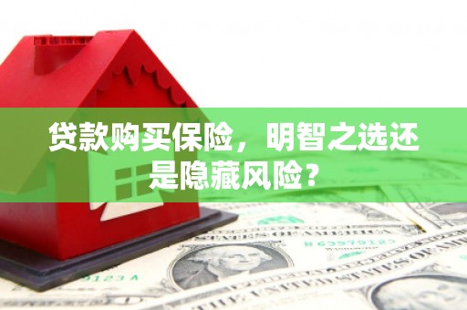 宜兰贷款购买保险，明智之选还是隐藏风险？