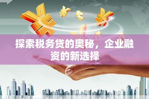 宜兰探索税务贷的奥秘，企业融资的新选择