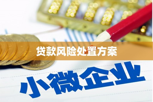 宜兰贷款风险处置方案