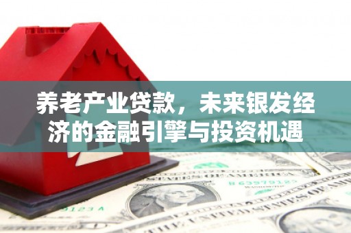 宜兰养老产业贷款，未来银发经济的金融引擎与投资机遇
