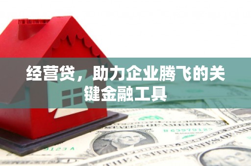宜兰经营贷，助力企业腾飞的关键金融工具