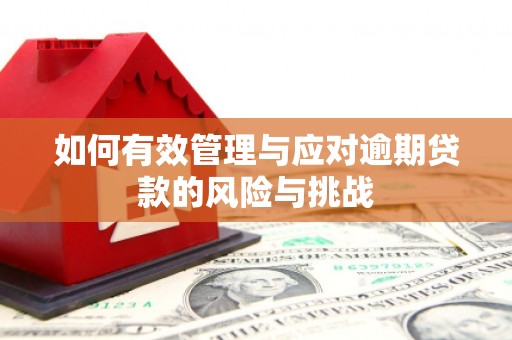 宜兰如何有效管理与应对逾期贷款的风险与挑战
