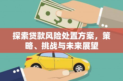 宜兰探索贷款风险处置方案，策略、挑战与未来展望