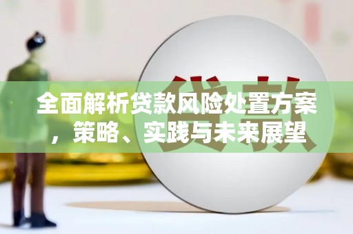 宜兰全面解析贷款风险处置方案，策略、实践与未来展望