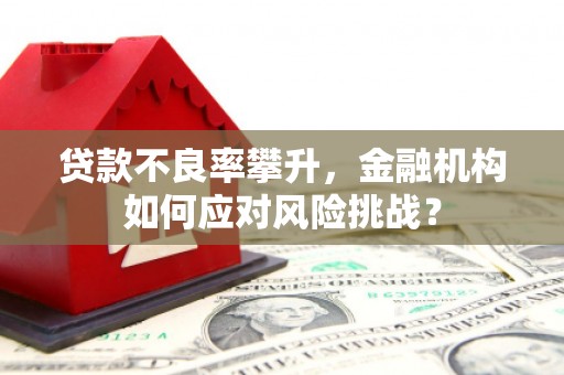 宜兰贷款不良率攀升，金融机构如何应对风险挑战？