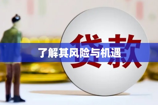 宜兰了解其风险与机遇