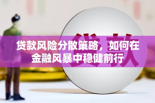 宜兰贷款风险分散策略，如何在金融风暴中稳健前行