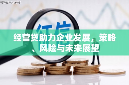 宜兰经营贷助力企业发展，策略、风险与未来展望