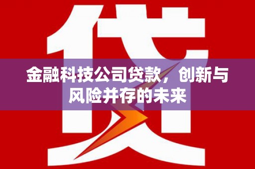 宜兰金融科技公司贷款，创新与风险并存的未来