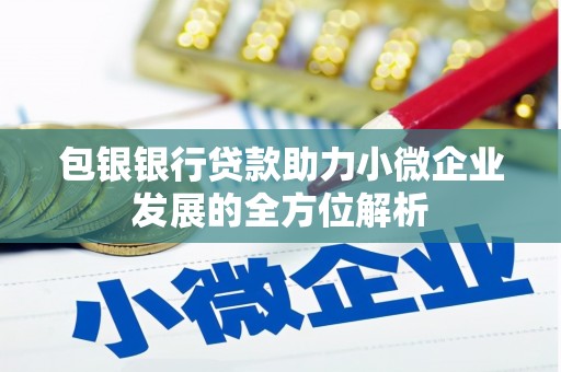 宜兰包银银行贷款助力小微企业发展的全方位解析