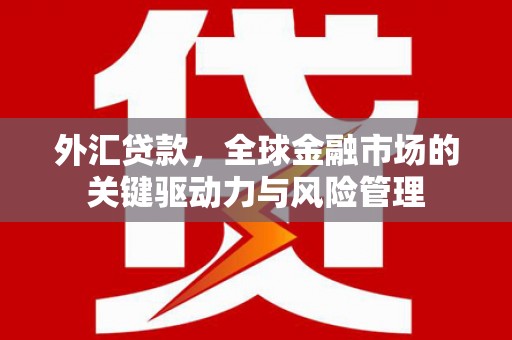 宜兰外汇贷款，全球金融市场的关键驱动力与风险管理