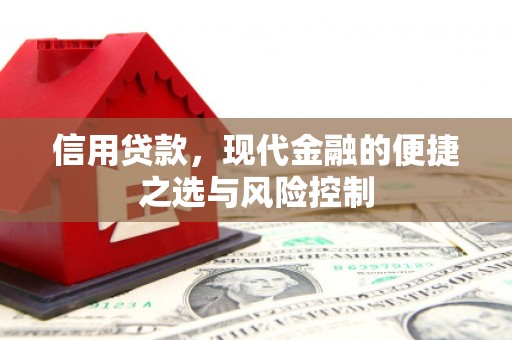 宜兰信用贷款，现代金融的便捷之选与风险控制