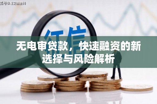 宜兰无电审贷款，快速融资的新选择与风险解析