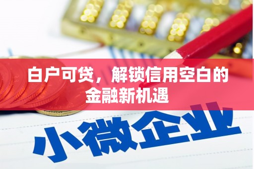 宜兰白户可贷，解锁信用空白的金融新机遇