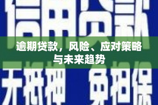 宜兰逾期贷款，风险、应对策略与未来趋势