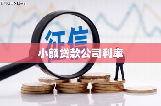 宜兰小额贷款公司利率