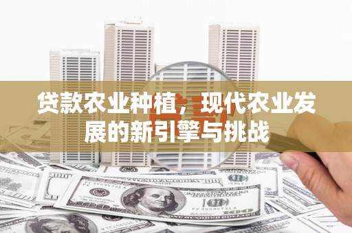 宜兰贷款农业种植，现代农业发展的新引擎与挑战