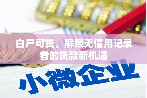 宜兰白户可贷，解锁无信用记录者的贷款新机遇