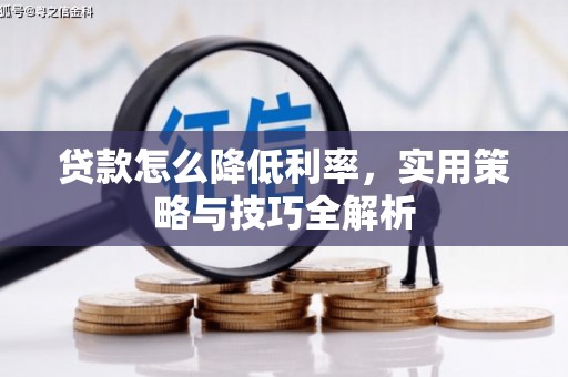 宜兰贷款怎么降低利率，实用策略与技巧全解析