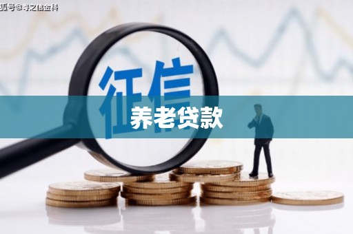 宜兰养老贷款