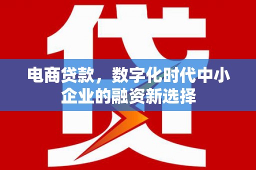 宜兰电商贷款，数字化时代中小企业的融资新选择