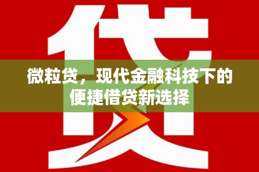 宜兰微粒贷，现代金融科技下的便捷借贷新选择