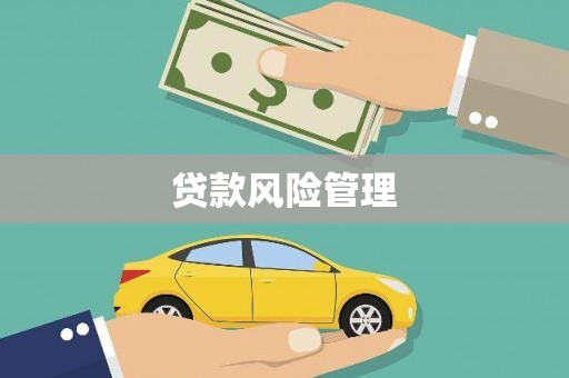 宜兰贷款风险管理